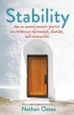 Stability (eBook, ePUB)