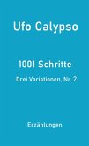 1001 Schritte - Drei Variationen, Nr. 2 (eBook, ePUB)
