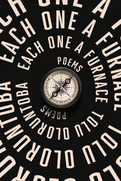 Cover Each One a Furnace (eBook, ePUB)