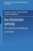 Das Relativitätsprinzip (eBook, PDF)