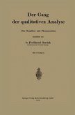 Der Gang der qualitativen analyse (eBook, PDF)