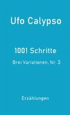 1001 Schritte - Drei Variationen, Nr. 3 (eBook, ePUB)