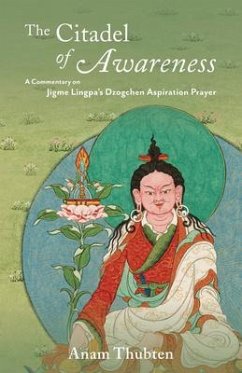 Cover The Citadel of Awareness (eBook, ePUB)