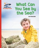 Reading Planet - What Can You See by the Sea? - Red B: Galaxy (eBook, ePUB) Reading Planet - What Can You See by the Sea? - Red B: Galaxy (eBook, ePUB)