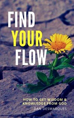 Find Your Flow (eBook, ePUB) - Desmarques, Dan