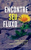 Encontre Seu fluxo (eBook, ePUB)