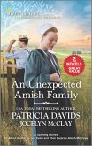 An Unexpected Amish Family (eBook, ePUB)