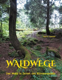 Waldwege - Matzker, Wolf E.