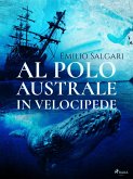 Al Polo Australe in velocipede (eBook, ePUB)