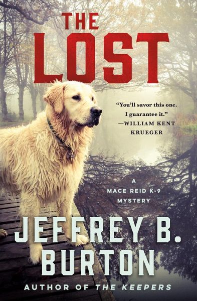 The Lost (eBook, ePUB)