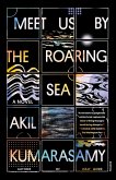 Meet Us by the Roaring Sea (eBook, ePUB)