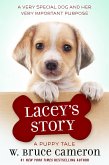 Lacey's Story (eBook, ePUB)