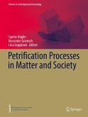 Petrification Processes in Matter and Society (eBook, PDF)