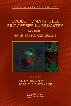 Evolutionary Cell Processes in Primates (eBook, ePUB)