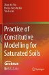 Practice of Constitutive Modelling for... - Bild 1