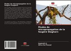 Études de micropropagation de la fougère Staghorn