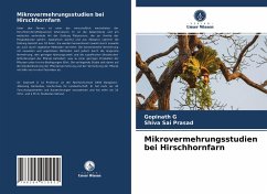 Mikrovermehrungsstudien bei Hirschhornfarn - G, Gopinath;Prasad, Shiva Sai