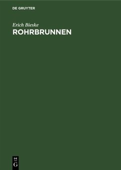 Cover Rohrbrunnen (eBook, PDF)
