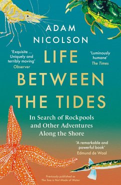 Life Between the Tides - Nicolson, Adam