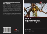 Studi di micropropagazione nella felce staghorn