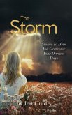 The Storm (eBook, ePUB)