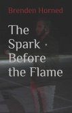 The Spark Before the Flame