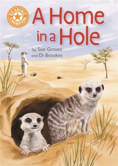 Reading Champion: A Home in a Hole - Graves, Sue