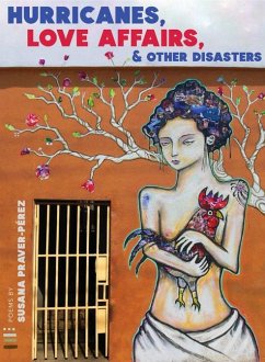 Cover Hurricanes, Love Affairs, & Other Disasters