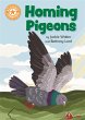 Reading Champion: Homing Pigeons - Bild 1