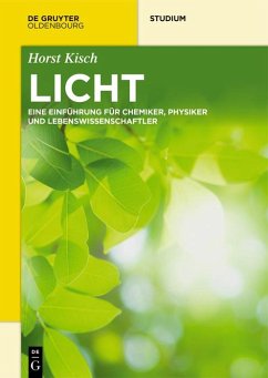 Licht (eBook, PDF) - Kisch, Horst