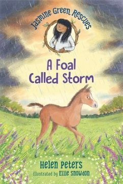 Jasmine Green Rescues: A Foal Called Storm - Peters, Helen