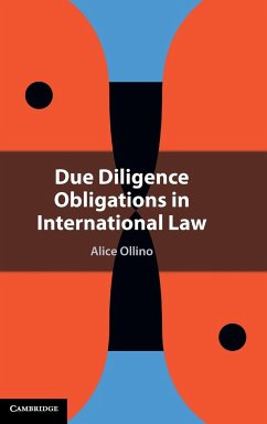 Due Diligence Obligations in International Law - Ollino, Alice