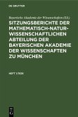 Sitzungsberichte der Mathematisch-Naturwissenschaftlichen Abteilung der Bayerischen Akademie der Wissenschaften zu München. Heft 1/1928 (eBook, PDF)