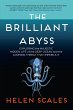 The Brilliant Abyss - Bild 1