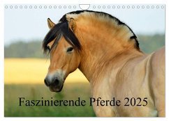 Faszinierende Pferde 2025 (Wandkalender 2025 DIN A4 quer), CALVENDO Monatskalender - Calvendo;Ludwig, Sandra
