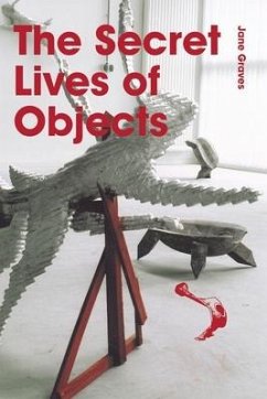 The Secret Lives of Objects - Graves, Jane
