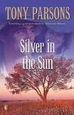 Silver in the Sun (eBook, ePUB)