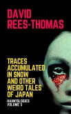 Traces Accumulated in Snow and other Weird Tales (Hauntologies, #5) (eBook, ePUB)