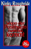 Wenn der Postmann zweimal kommt (eBook, ePUB)