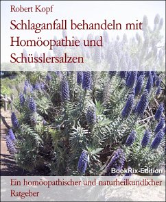 Schlaganfall behandeln mit Homöopathie und Schüsslersalzen (eBook, ePUB) - Kopf, Robert