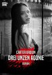 DREI UNZEN AGONIE (eBook, ePUB) - Bild 1