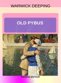 Old Pybus (eBook, ePUB)