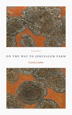 On the Way to Jerusalem Farm (eBook, ePUB) - Luther, Carola