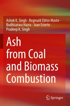 Ash from Coal and Biomass Combustion - Singh, Ashok K.;Masto, Reginald Ebhin;Hazra, Bodhisatwa