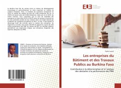 Les entreprises du Bâtiment et des Travaux Publics au Burkina Faso - Lucain, Some