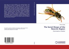 The Social Wasps of the Nearctic Region - Daglio, Anthony