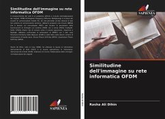 Similitudine dell'immagine su rete informatica OFDM - Ali Dihin, Rasha