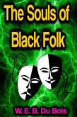 The Souls of Black Folk (eBook, ePUB)