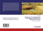 Response of speckled alder to phosphorus addition in Adirondack wetlan