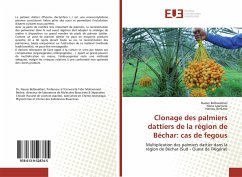 Clonage des palmiers dattiers de la région de Béchar: cas de fegous - Belboukhari, Nasser; Laaroussi, Nana; Berkane, Hamou